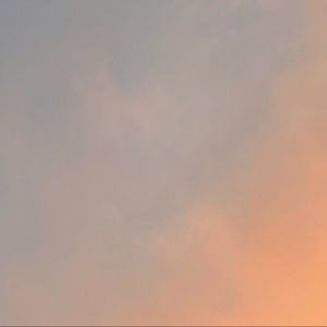 Meet your Posher, Kendall